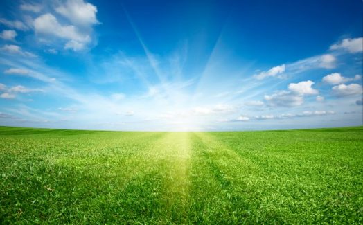 Clean Air Day